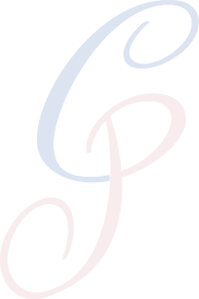 Carina Pieger Steuerberaterin Logo